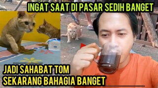 kucing Ini Dulu Sengsara Banget Di Pasar Dan Sekarang Bahagia Jadi Pacar Tom ..!