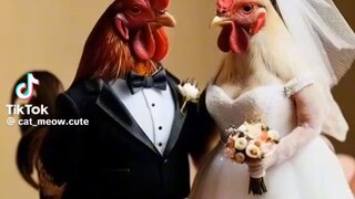 Everyone must married