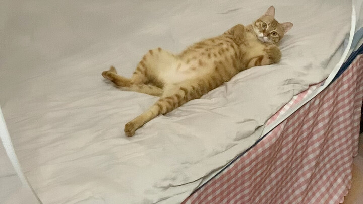 I came home after working late and found it like this, hahaha