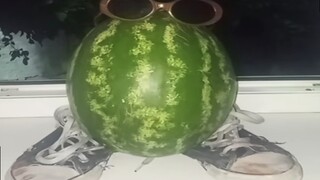 【tiktok难绷抽象记录＃95】