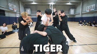 [Pojok?] HOSHI - Harimau | Cover Tari