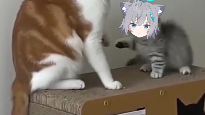 ชีสใครกันนะ หนูน้อยเรียบร้อย