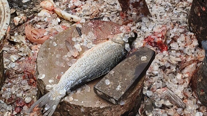Fish cleaning 🔥