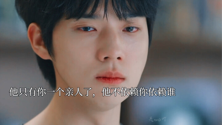 “如果连你也讨厌他，他就再也没有晴天了”在弟弟的世界里只剩下哥哥一个亲人了外公不喜欢他，父母在车祸中去世，同母异父的哥哥姐姐排挤他。他所做的一切都是为了哥哥。