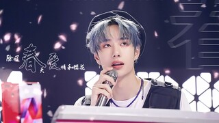 【王一博/王导师】除了春天 爱情和樱花