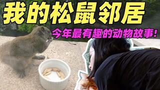 【Little Squirrel Observation Log 01】"I guarantee this will be the funniest squirrel story you've see