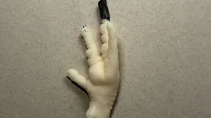 ทุกสิ่งล้วนเป็นอักษรศิลป์ได้