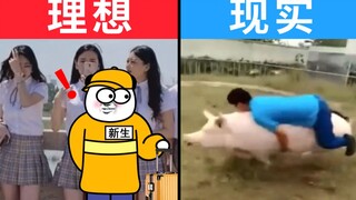 各 专 业 新 生 开 学 现 状