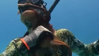 Be careful when provoking octopuses in the sea—let's see just how strong their desire for revenge is