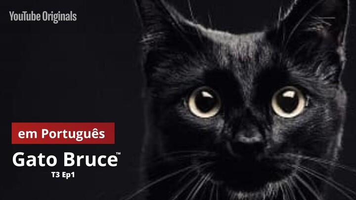 Episódio 1 - ''A lei do Silêncio''- Gato Bruce