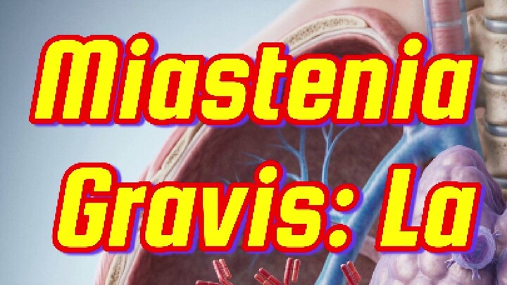 💊         𝙈𝙞𝙖𝙨𝙩𝙚𝙣𝙞𝙖 𝙜𝙧𝙖𝙫𝙞𝙨: 𝙡𝙖 𝙛𝙖𝙩𝙞𝙜𝙖 𝙣𝙚𝙪𝙧𝙤𝙣𝙖𝙡
