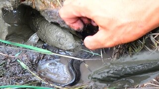 Nắng Mấy Ngày Cá Mắc Cạn Quá Trời - 7 Ân - batca #3