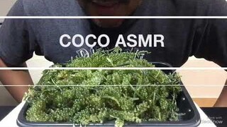 ASMRSEA GRAPES กินโชว์สาหร่ายพวงองุ่น(EATING SOUNDS)COCO ASMR