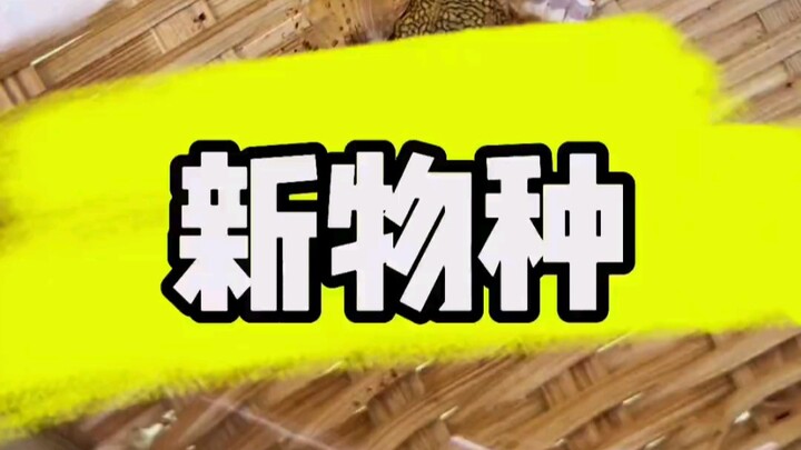 Reached a new species!