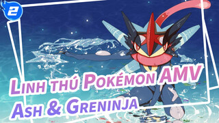 Linh thú Pokémon AMV
Ash & Greninja_2