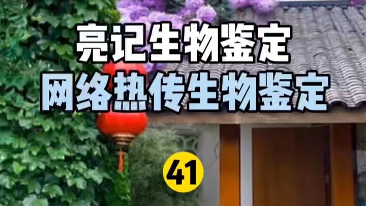 【Nhận dạng sinh học Liangji】Nhận dạng sinh học nóng hổi trên Internet 41