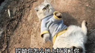 我和妈耶一起晒太阳