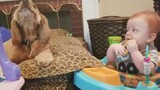 dog love playing babies so cute 😍 | Dog lifestyle