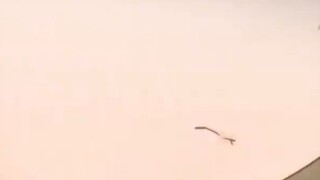 I want to go to Shandong University.mp4