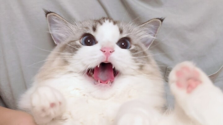 这对吗？？？？？