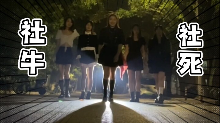 上海交通大学｜最社牛的女团？竟半夜在图书馆前…