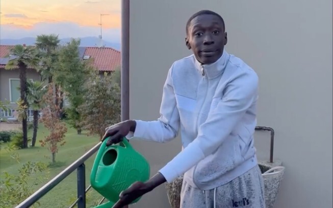 Watering is unnecessary!