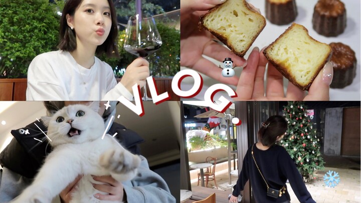 VLOG Kehidupan Sehari-hari di Bulan Natal | Berhasil Banget Membuat Canelé ⛄️ Jalan-jalan ke Shenzhe