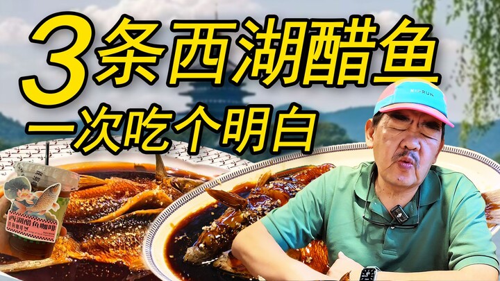 Satu video, tiga ekor ikan! Makan Ikan Kecap Danau Barat sampai benar-benar paham!