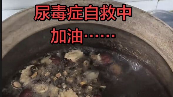 【Homo Sapiens TV】Traditional Chinese Medicine’s Self-Help Approach to Uremia