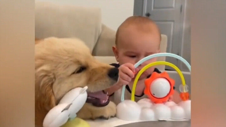 Aaaaaa cùng nhau lớn lên thật hạnh phúc, nhưng cún con sao mày lớn nhanh vậy...