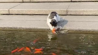 Tôi đã được nhận vào chuyên ngành câu cá của trường chúng tôi! !