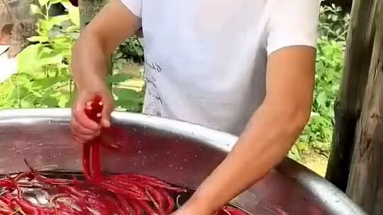 UID:1156872552❤️