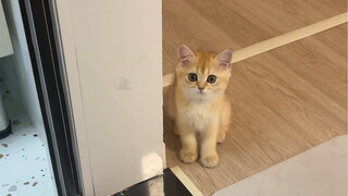 ทำไมถึงคอยมองฉันอยู่เรื่อยเลยนะ……