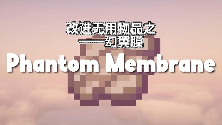 การปรับปรุงไอเทมไร้ประโยชน์ – ฟิล์มปีกมายา