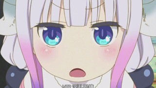 Simak momen lucu Connor-chan, apakah kamu jatuh cinta pada Connor seperti ini?