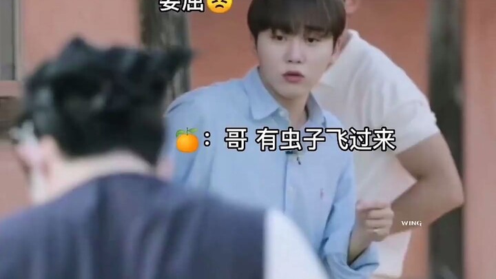Seventeen selalu menelepon Daddy Che setiap kali dia punya masalah! Dengan Choi Seungcheol di dekatk