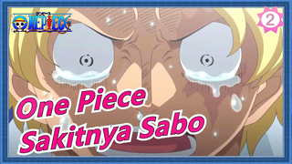 [One Piece] Sakitnya Sabo--- Kematian Ace_2
