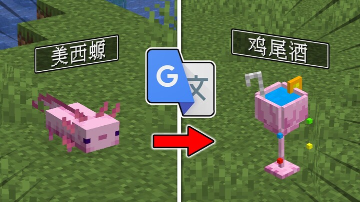 Khi tôi dịch sinh vật trong Minecraft đến lần thứ 100… [Phần 2]