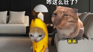 男人到男孩的蜕变