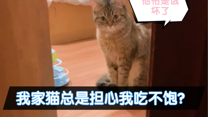 Kucing kecil yang begitu perhatian seperti ini mau dicari di mana, ya!