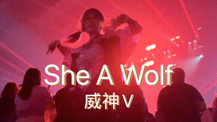 没人告诉我演唱会拍cha能拥有免费灯光背景啊