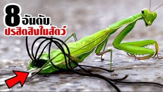 8 ปรสิตที่สิงในร่างสัตว์พร้อมเขมือบวิญญาณ!! (ระวัง)