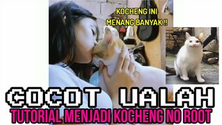 TUTORIAL JADI KOCHENG NO ROOT ❗❗| CHOCHOT UALAH 80