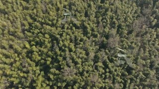 I Am Nobody S2 Episode 13 sub indo END