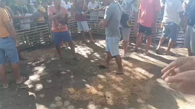 anak nang talisay gold ko.pasado sa exam.
