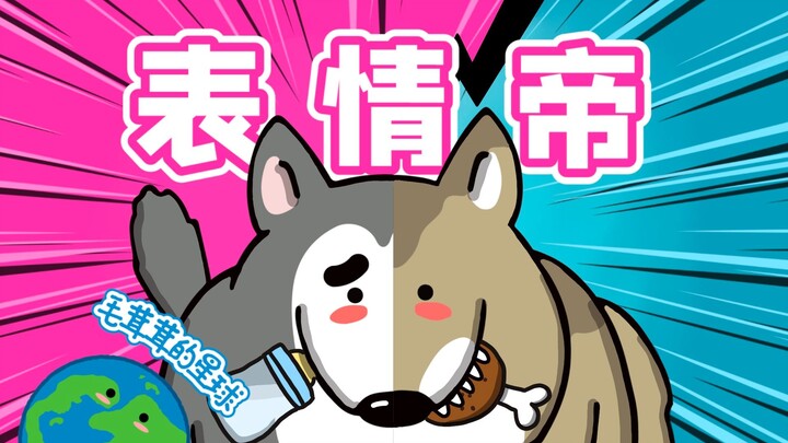 【كلب】 مهارة متوارثة، ذات قوة تدميرية هائلة على بعض البشر!