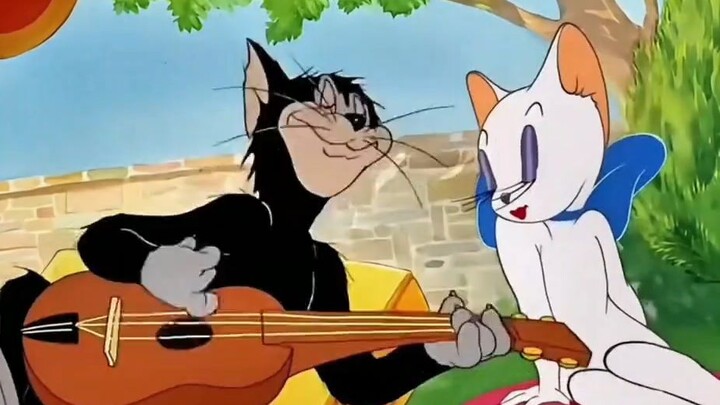 Tom and Jerry funny cartoon
