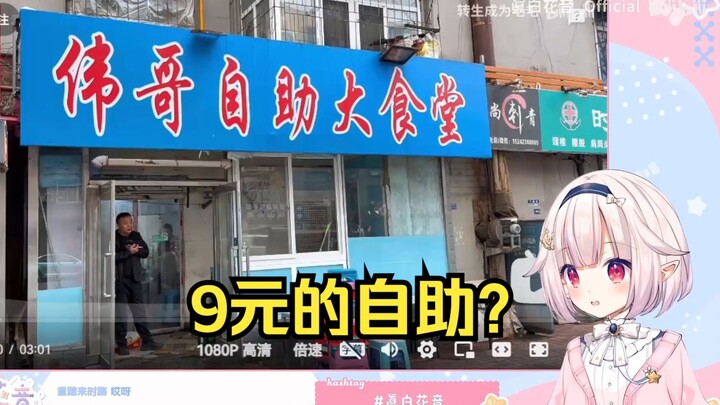 日本萝莉看《东北9元自助餐 各种肉类随便吃》太离谱了