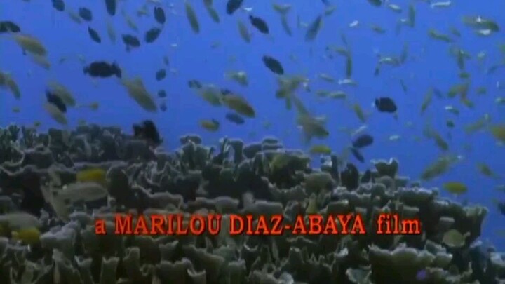 Muro Ami (Cezar Montano)