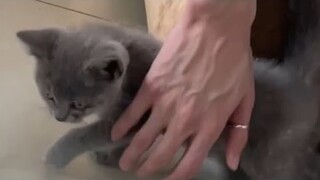 [抖音] Tik Tok Trung Tổng Hợp Video Những Bàn Tay Đẹp Xỉu Của Các Chồng | Mervyn